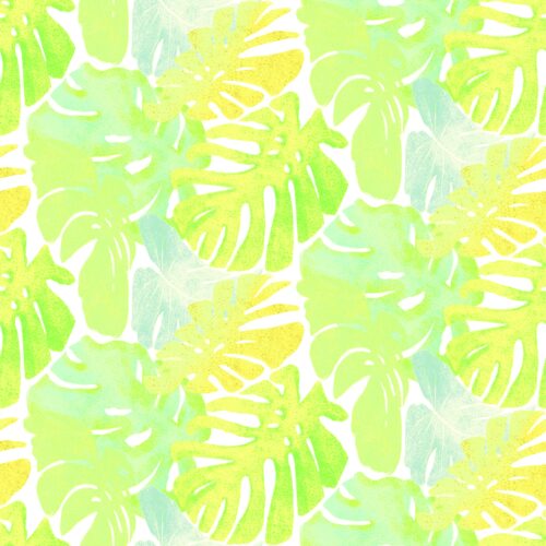 Lindsay Anne - Iguana Tropical 5