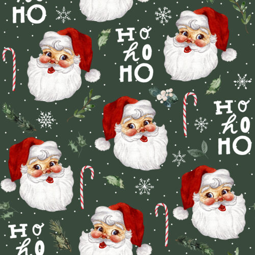 Hip Kid Design - Jolly Santa on Evergreen