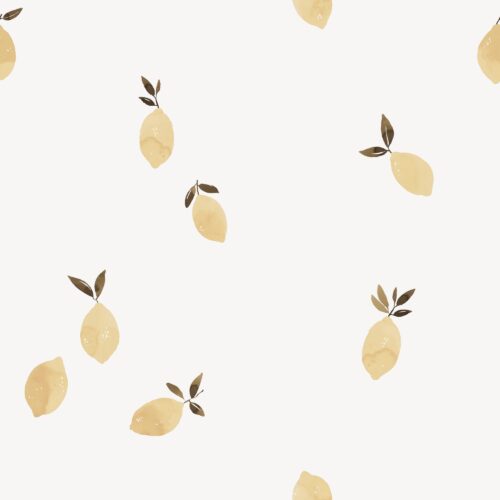 Vanya Minimalist Designs - Lemons