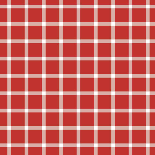 Indy Bloom Designs - Liberty Red Gingham 01