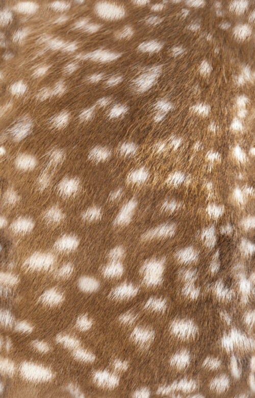 Hip Kid Design - Light Brown Faux Deer Hide