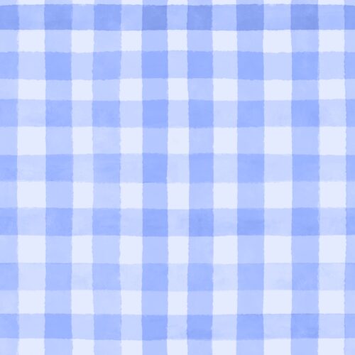 Lindsay Anne - Light Blue Gingham Plaid