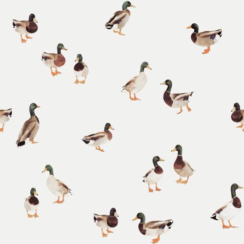 Vanya Minimalist Designs - Little Duck Parade