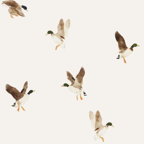 Vanya Minimalist Designs - Mallard Ducks