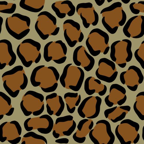 Casey Gowers - Moody Leopard