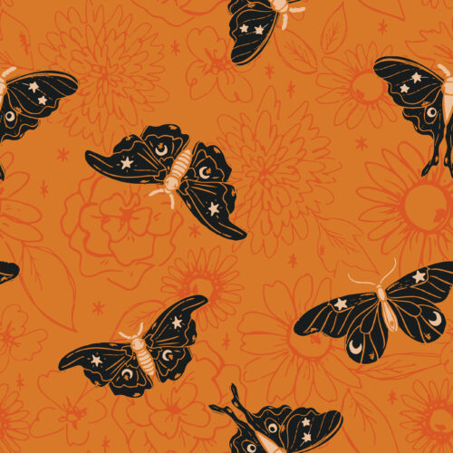 Juniper Row - Moon Moth 16