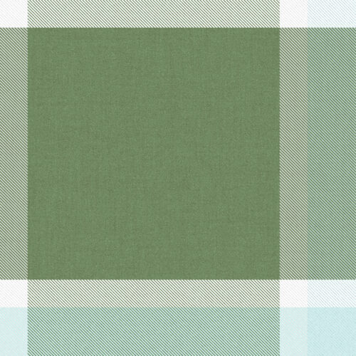 Hip Kid Design - Mossy Green and Baby Blue Plaid
