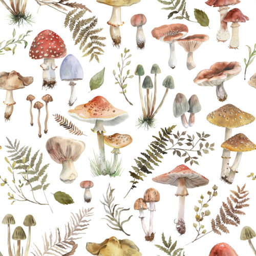 Hip Kid Design - Mushroom Forest