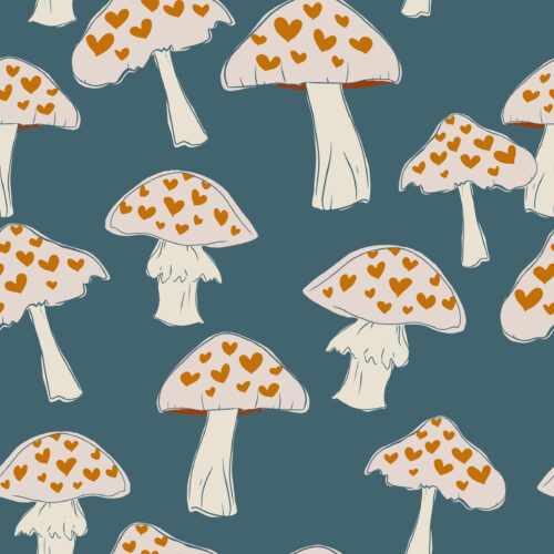 Juniper Row - Mushroom Love In Blue Steel01