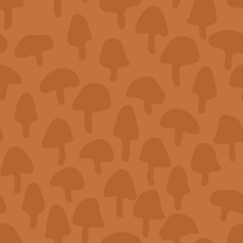 Juniper Row - Mushrooms In Rust