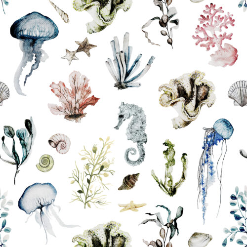 Hip Kid Design - Oceana