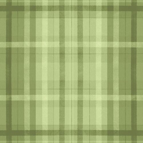 Lindsay Anne - Olive Green Plaid