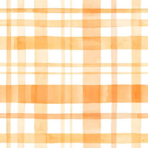 Hip Kid Design - Orange Fall Halloween Watercolor Plaid