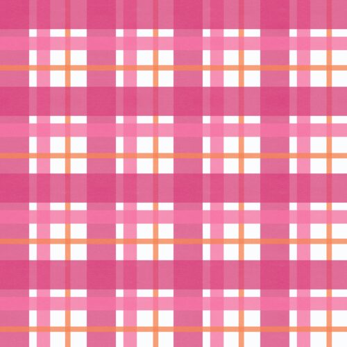 Casey Gowers - Orange Blossom Plaid