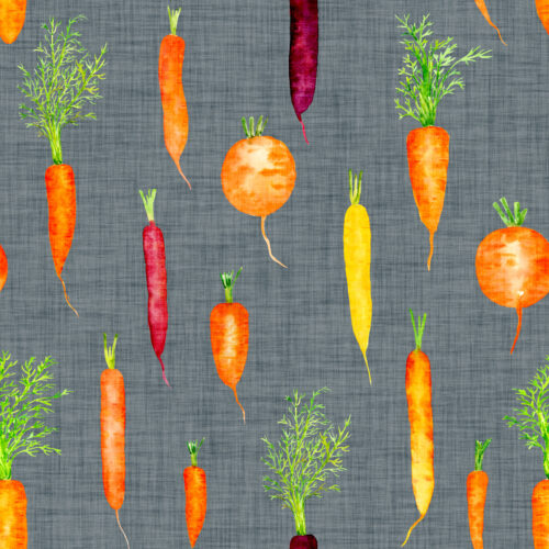 Hip Kid Design - Organic Carrots on Slate Gray