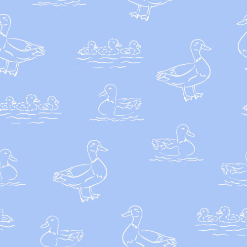 Vivie & Ash - Outlined Ducks Blue