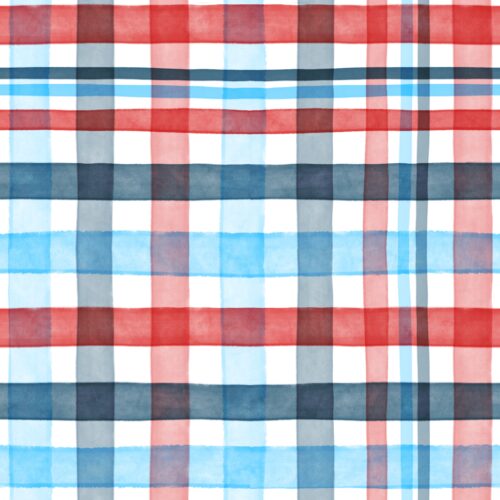 Lindsay Anne - Patriotplaidwhite