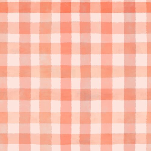 Lindsay Anne - Peach Marmalade Gingham