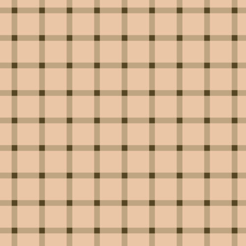Indy Bloom Designs - Peachy Brown Gingham 01