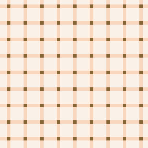 Indy Bloom Designs - Peachy Pink Gingham 01 01