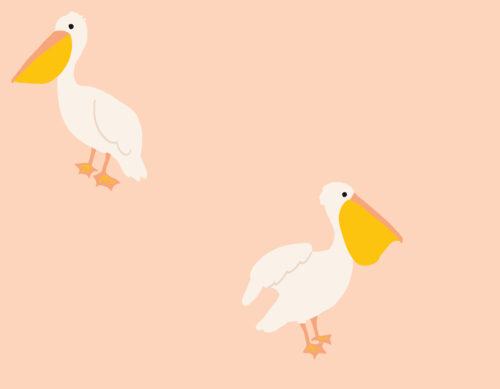 Indy Bloom Designs - Pelican In Blush 01