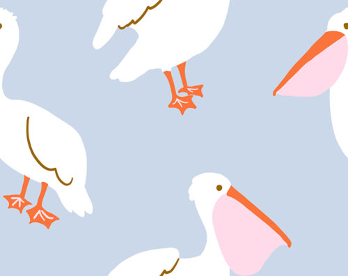 Indy Bloom Designs - Pelicans In Periwinkle 2.5