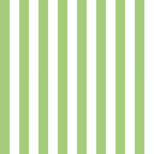 Casey Gowers - Petals Lime Stripe