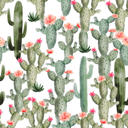 Hip Kid Design - Pink Cactus Floral