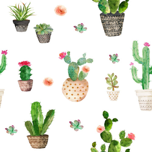 Hip Kid Design - Potted Succulents