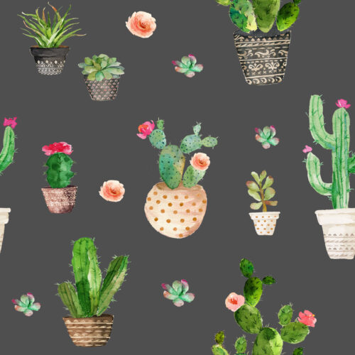 Hip Kid Design - Potted Succulents on Gray