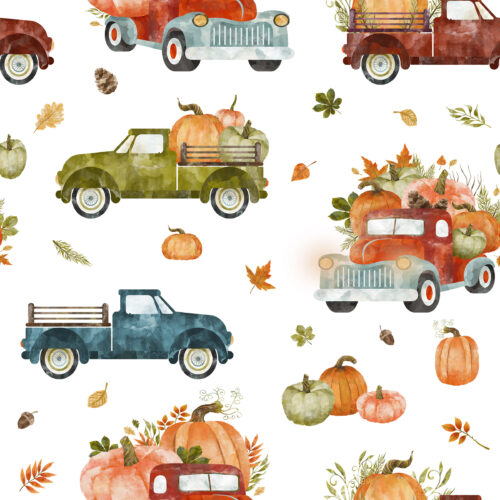 Hip Kid Design - Pumpkin Farm