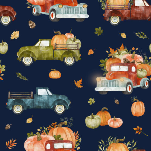 Hip Kid Design - Pumpkin Farm on Stone Navy