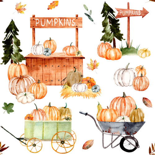 Hip Kid Design - Pumpkin Patch