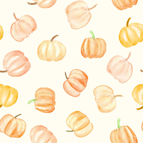 Hip Kid Design - Pumpkin Toss