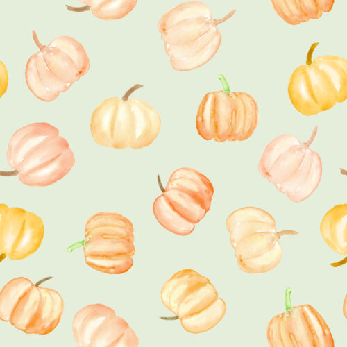 Hip Kid Design - Pumpkin Toss on Soft Sage