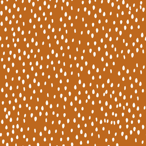 Indy Bloom Designs - Pumpkin Seeds