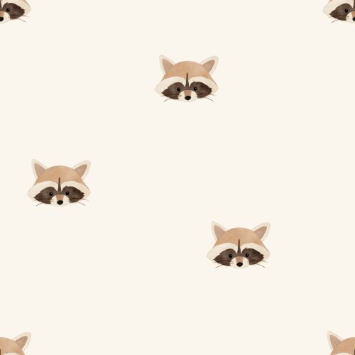 Vanya Minimalist Designs - Raccoon 02