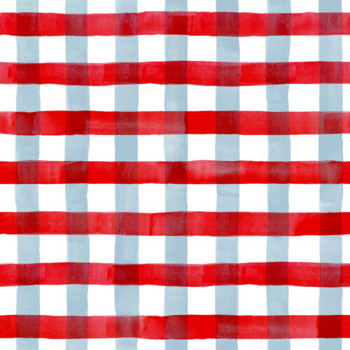 Hip Kid Design - Red and Baby Blue Watercolor Buffalo Check