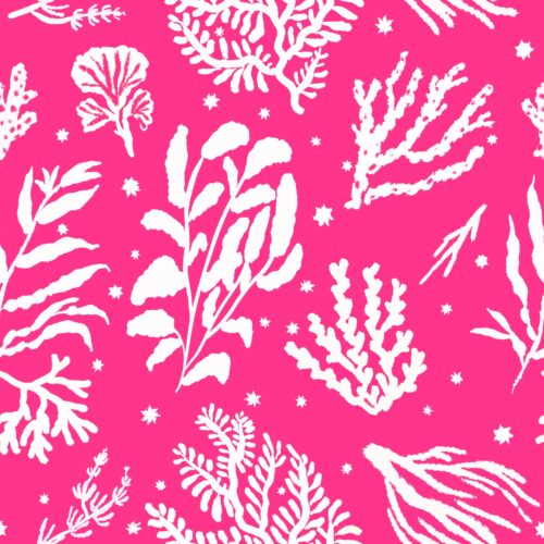 Lindsay Anne - Reef Rhapsody Bold Rasberry Pink