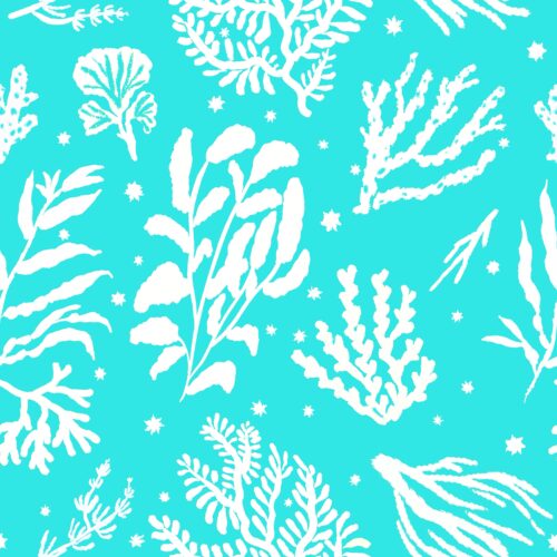 Lindsay Anne - Reef Rhapsody Bright Sea Turq