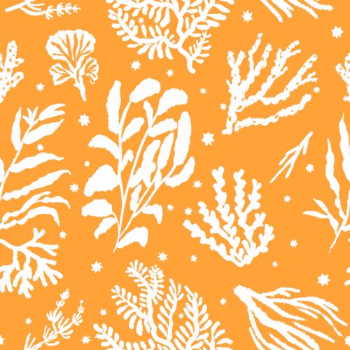 Lindsay Anne - Reef Rhapsody Orange