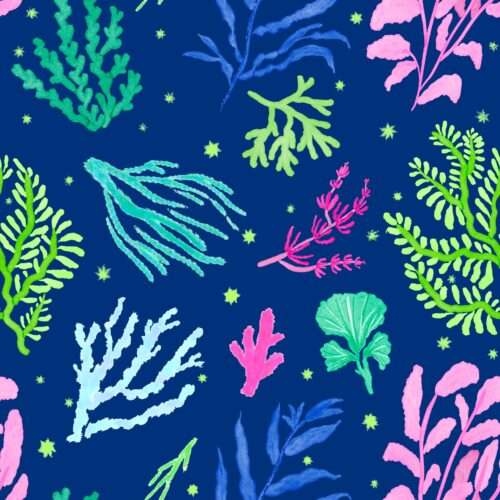 Lindsay Anne - Reefrhapsodydeepoceanmulti