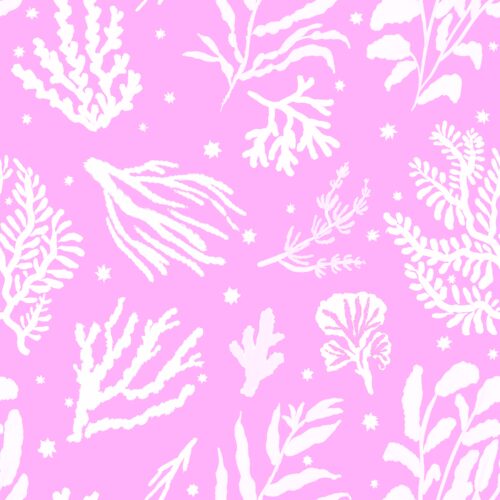 Lindsay Anne - Reefrhapsodylilacpink