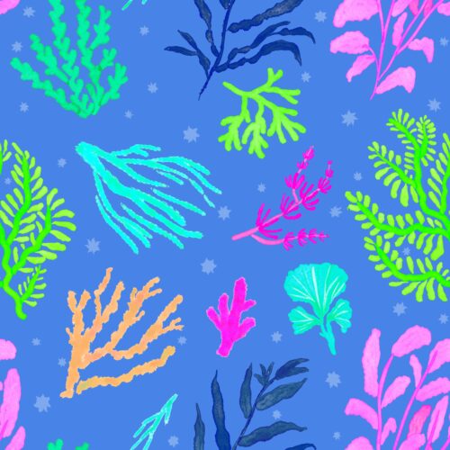 Lindsay Anne - Reefrhapsodysea