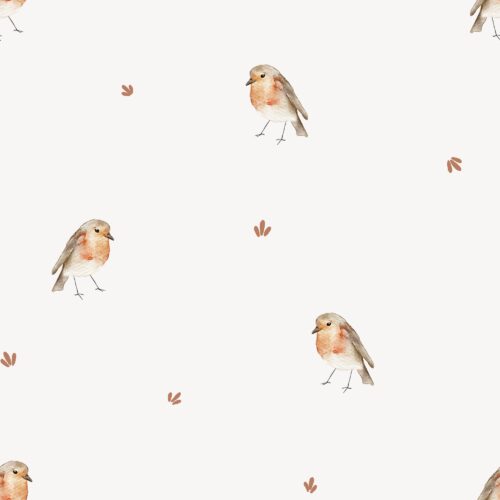 Vanya Minimalist Designs - Robin 01