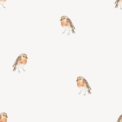 Vanya Minimalist Designs - Robin 02