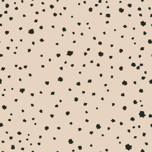 Juniper Row - Rocks In Vanilla 16