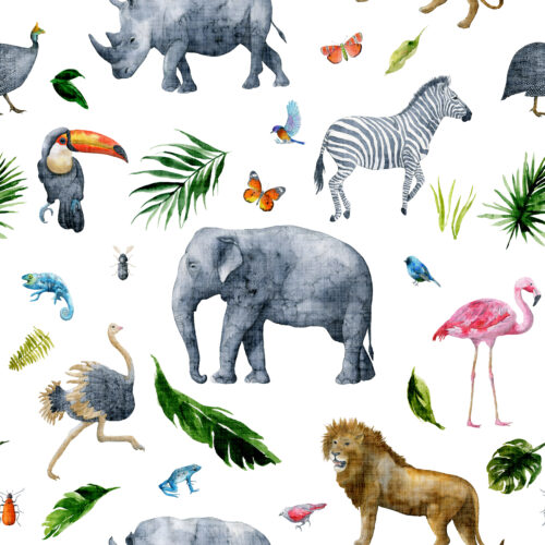 Hip Kid Design - Safari Jungle