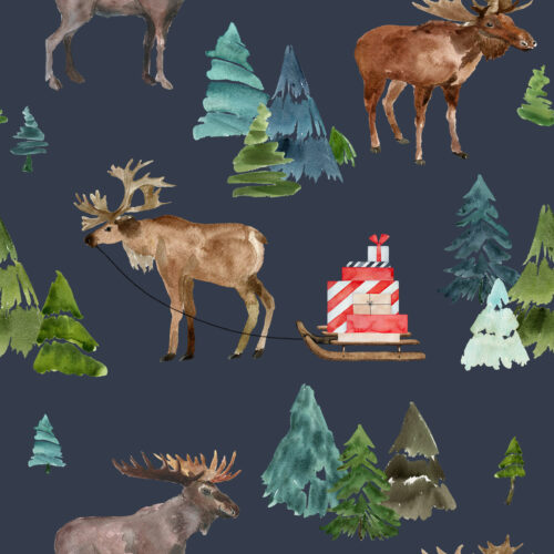 Hip Kid Design - Santa's Helper on River Bed