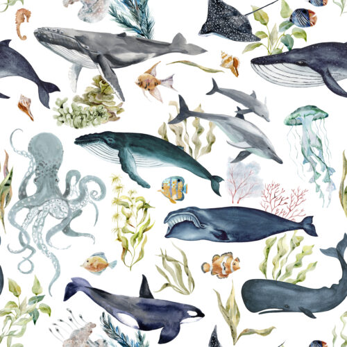Hip Kid Design - Sea Life Ocean Animals